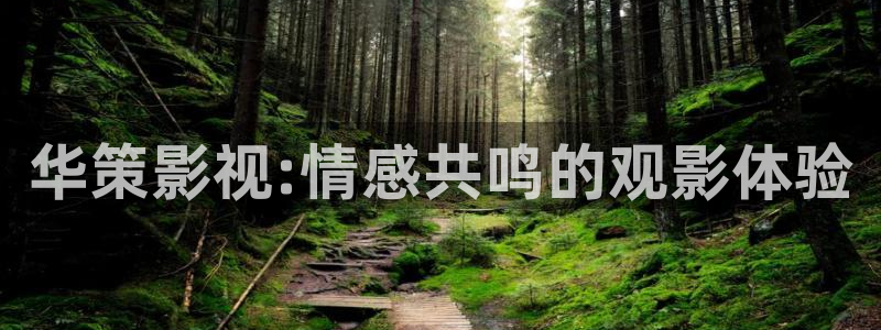 97影院电影天堂
