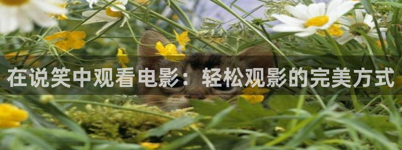 光棍天堂影院在线