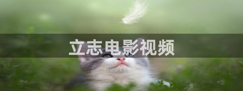 97影院电影天堂